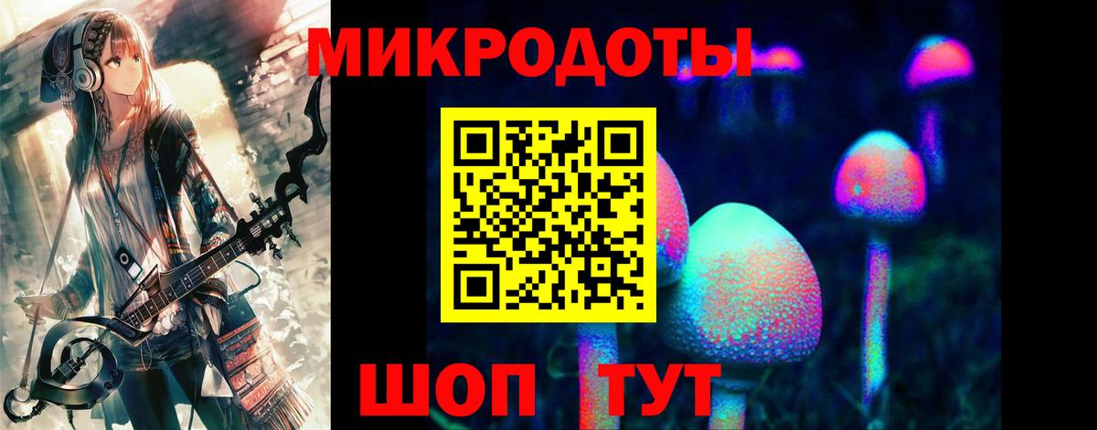 Псилоцибиновые грибы мицелий  Вход с VPN  Красноармейск  Галлюциногенные грибы мицелий 